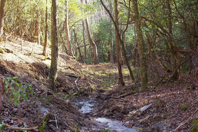 295 Mountain Laurel Ridge, Mineral Bluff, GA 30559