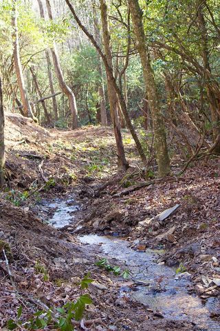 295 Mountain Laurel Ridge, Mineral Bluff, GA 30559