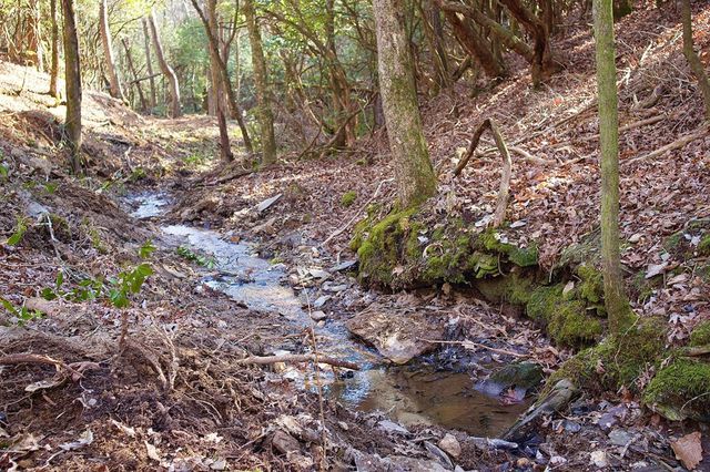 295 Mountain Laurel Ridge, Mineral Bluff, GA 30559