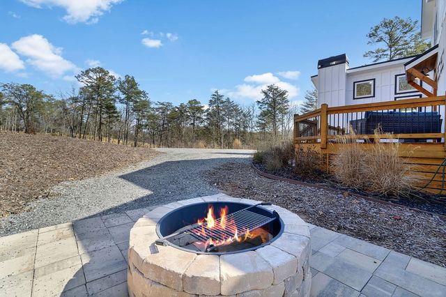 295 Mountain Laurel Ridge, Mineral Bluff, GA 30559