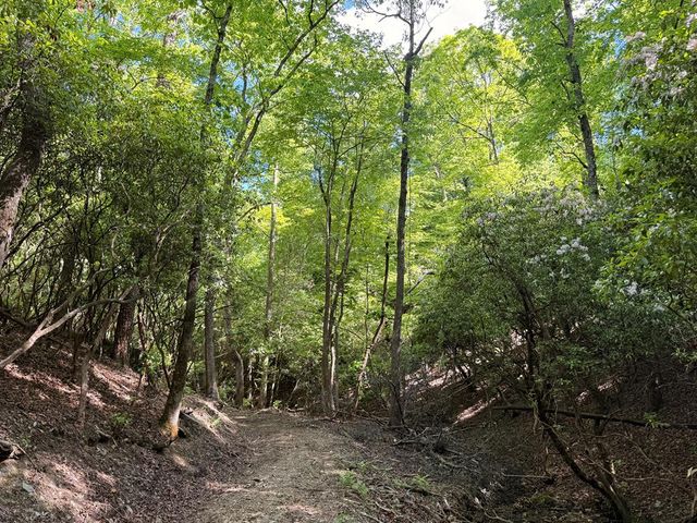 295 Mountain Laurel Ridge, Mineral Bluff, GA 30559