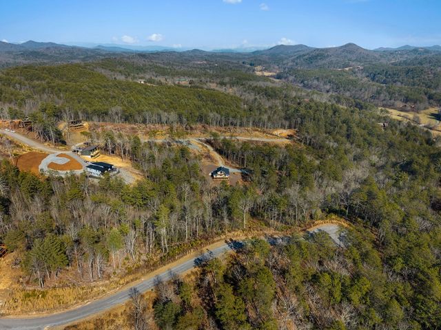 295 Mountain Laurel Ridge, Mineral Bluff, GA 30559