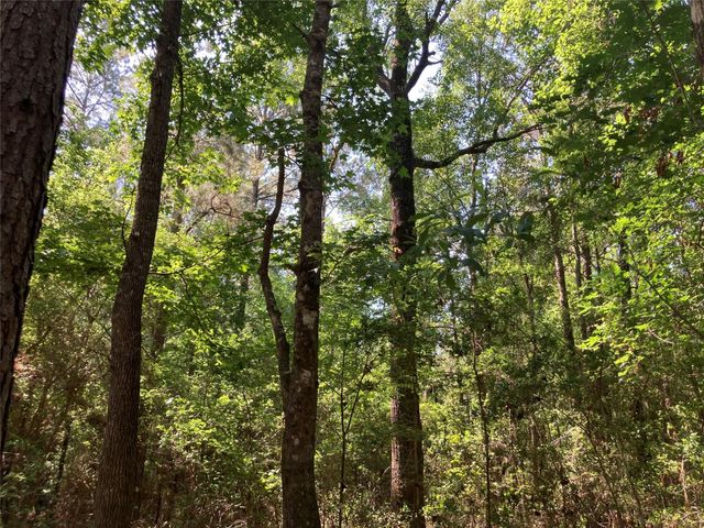 0 Lee Dr, Cleveland, TX 77328