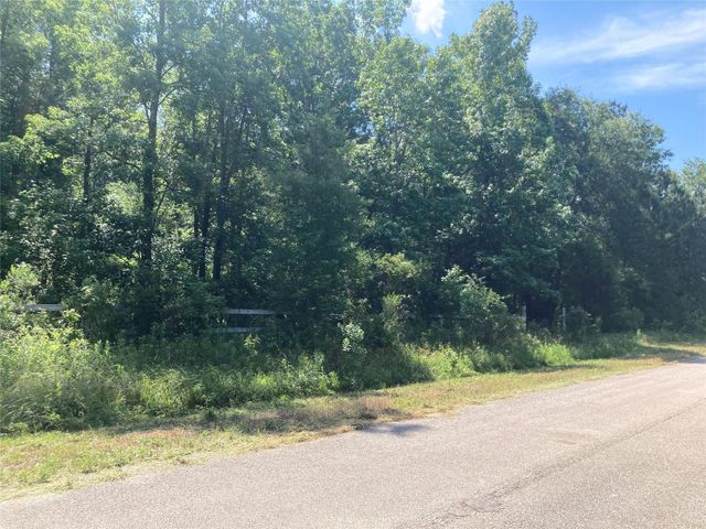 0 Lee Dr, Cleveland, TX 77328