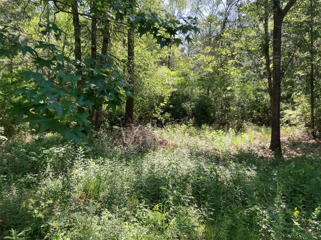 0 Lee Dr, Cleveland, TX 77328