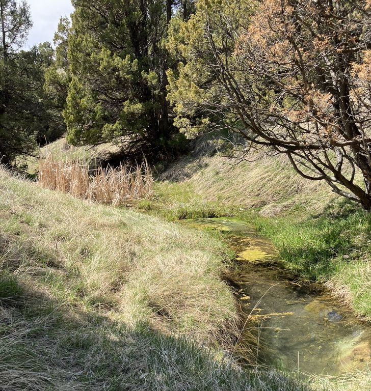 Image 90 of property listing at 5835 Spaulding Bridge Road, Belgrade, MT 59714