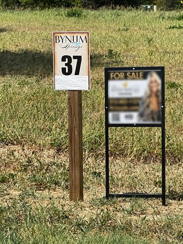 TBD Jim Bynum Boulevard, Red Oak, TX 75154