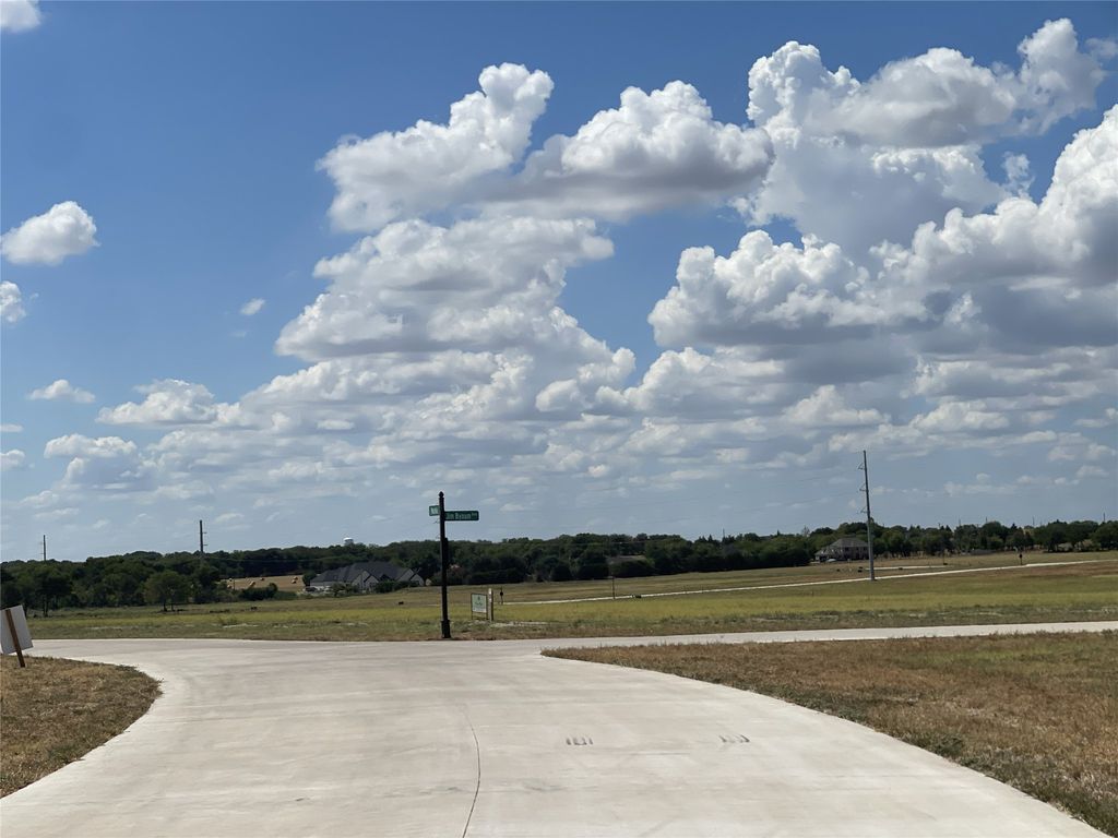 TBD Jim Bynum Boulevard, Red Oak, TX 75154 — photo 4