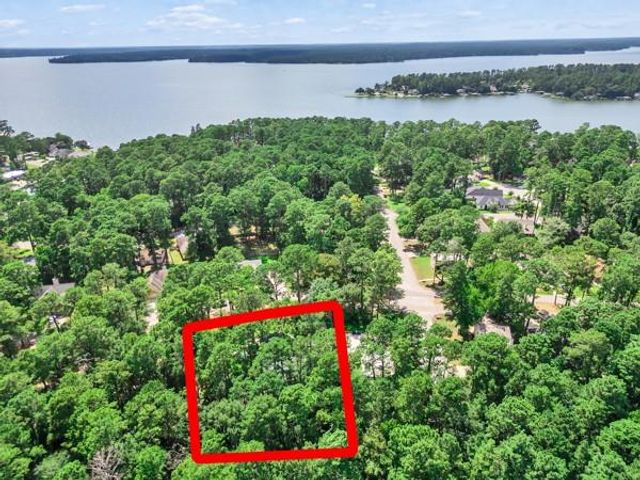 15734 Corinthian Way, Willis, TX 77318