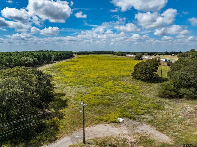 TBD FM 1995, Lindale, TX 75771