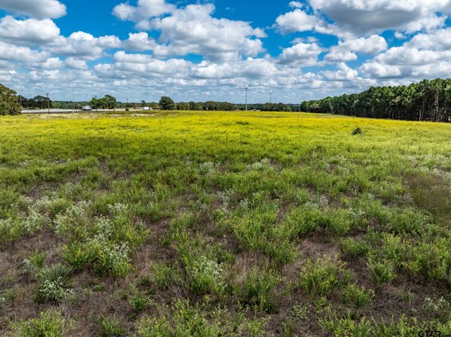 TBD FM 1995, Lindale, TX 75771