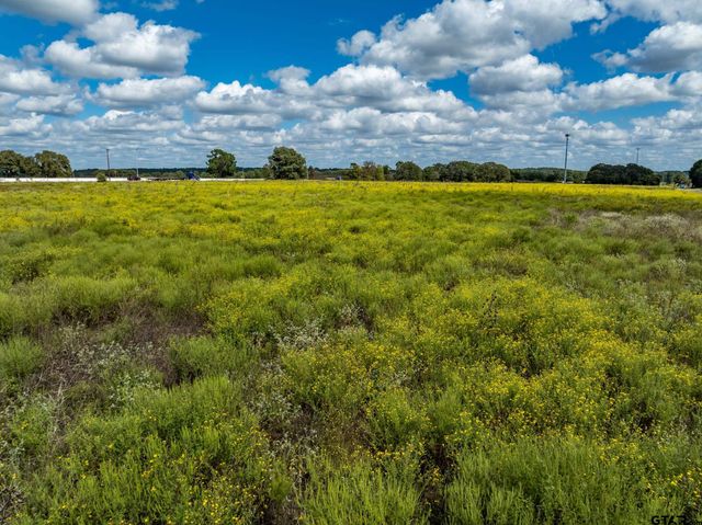TBD FM 1995, Lindale, TX 75771