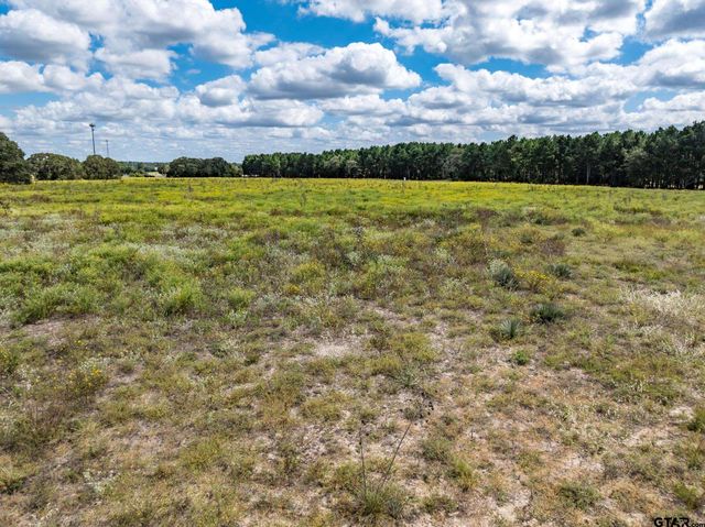 TBD FM 1995, Lindale, TX 75771