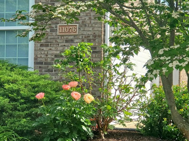 11076 War Admiral Drive, Union, KY 41091