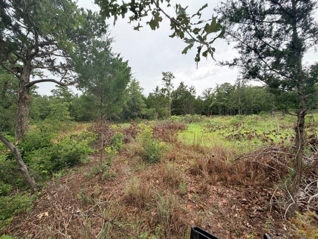 000 McDonald LN W, Cedar Creek, TX 78612