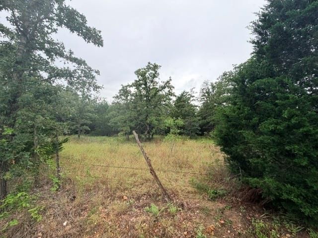 000 McDonald LN W, Cedar Creek, TX 78612