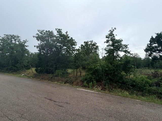 000 McDonald LN W, Cedar Creek, TX 78612