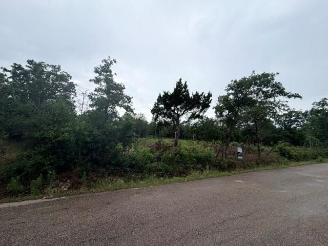 000 McDonald LN W, Cedar Creek, TX 78612