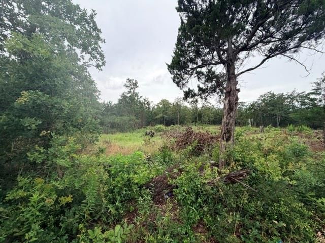 000 McDonald LN W, Cedar Creek, TX 78612
