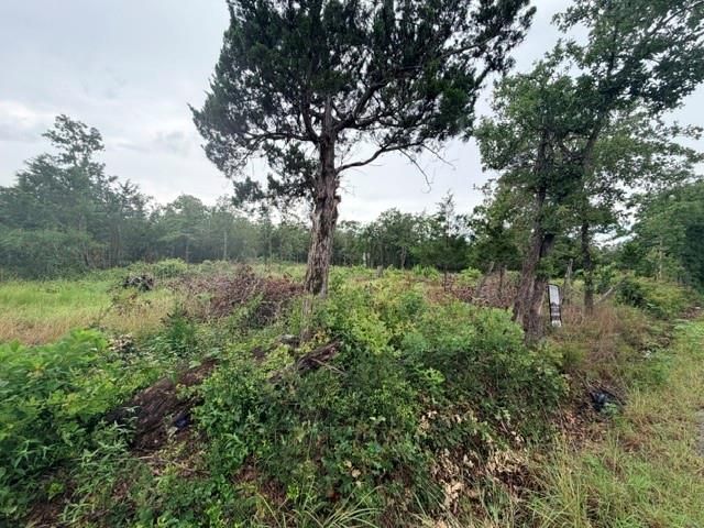 000 McDonald LN W, Cedar Creek, TX 78612