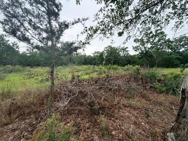 000 McDonald LN W, Cedar Creek, TX 78612