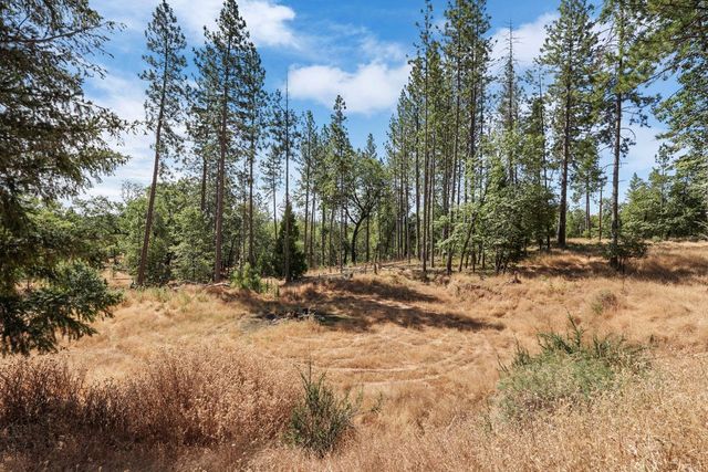 402 Rabbits Foot Rd, West Point, CA 95255