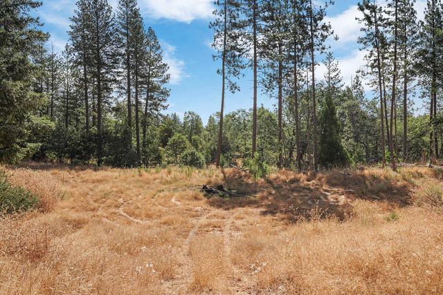 402 Rabbits Foot Rd, West Point, CA 95255