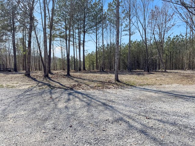 137 Summit Dr, Dover, TN 37058