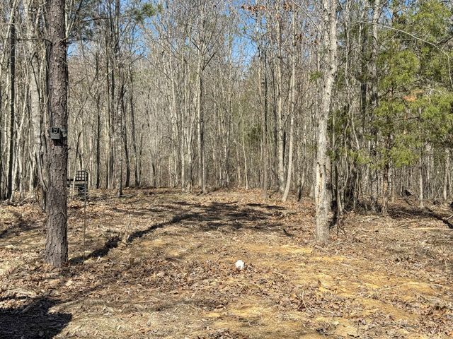137 Summit Dr, Dover, TN 37058