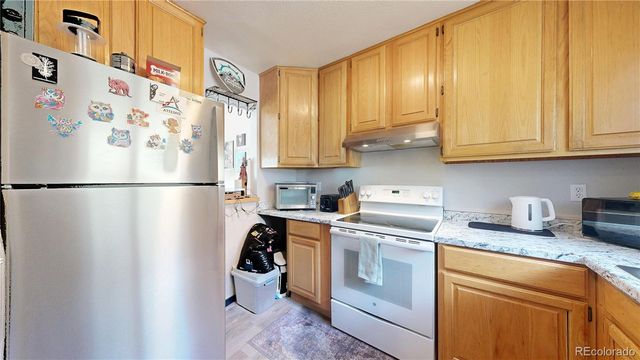 1750 & 1754 Clear Creek Drive, Georgetown, CO 80444
