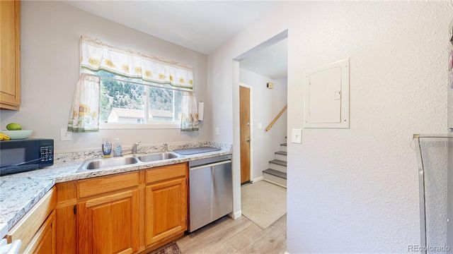 1750 & 1754 Clear Creek Drive, Georgetown, CO 80444