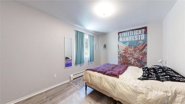 1750 & 1754 Clear Creek Drive, Georgetown, CO 80444