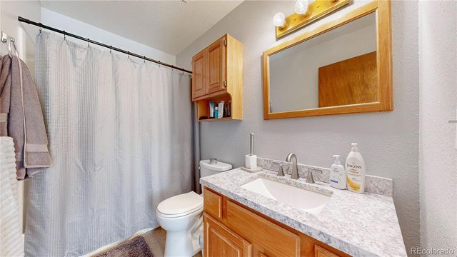 1750 & 1754 Clear Creek Drive, Georgetown, CO 80444