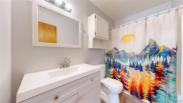 1750 & 1754 Clear Creek Drive, Georgetown, CO 80444