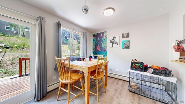 1750 & 1754 Clear Creek Drive, Georgetown, CO 80444