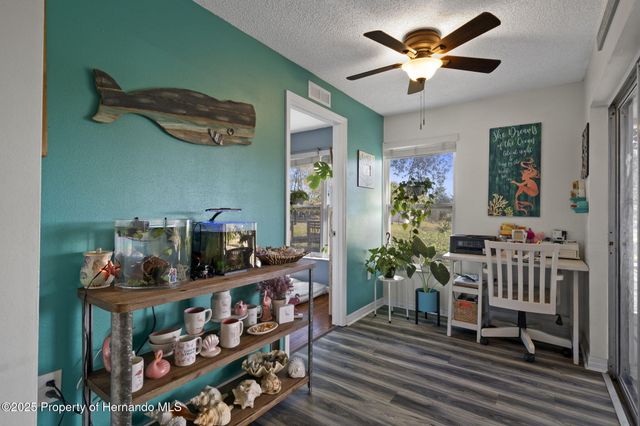 3228 Kismet Court, New Port Richey, FL 34655