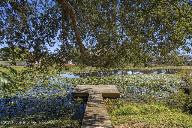 3228 Kismet Court, New Port Richey, FL 34655