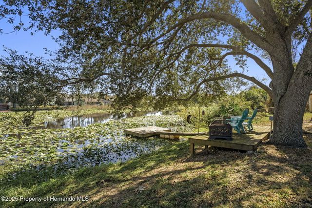 3228 Kismet Court, New Port Richey, FL 34655