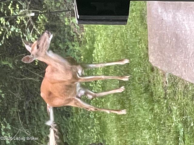 3303 Borowick Cir, La Grange, KY 40031