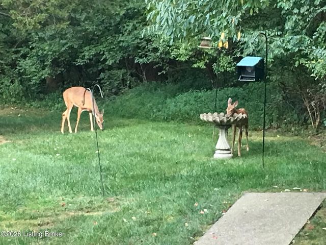 3303 Borowick Cir, La Grange, KY 40031