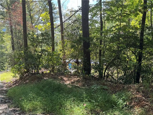 191 Duncan Mountain Trail, Sunset, SC 29685
