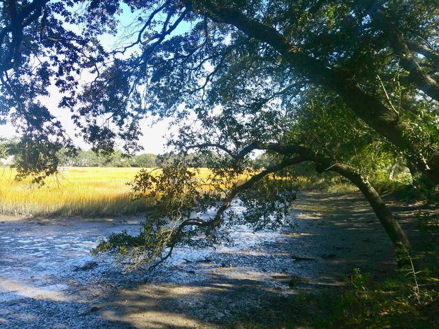 1402 Camp Road 15e, Charleston, SC 29412