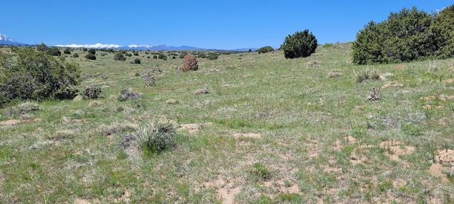 77 Rio Cucharas, Walsenburg, CO 81089