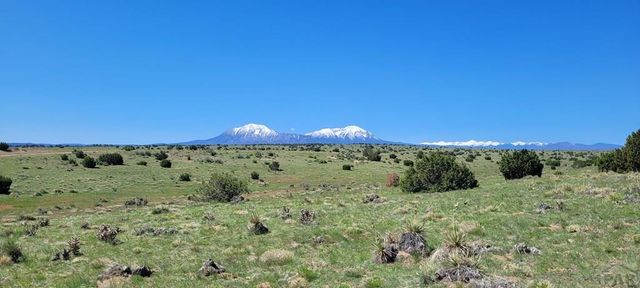 77 Rio Cucharas, Walsenburg, CO 81089