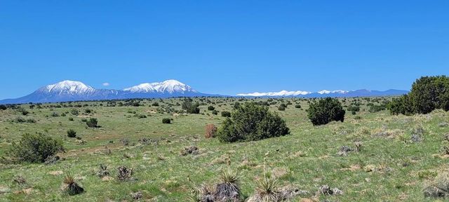 77 Rio Cucharas, Walsenburg, CO 81089