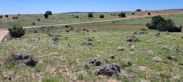 77 Rio Cucharas, Walsenburg, CO 81089