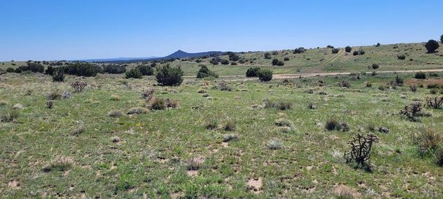 77 Rio Cucharas, Walsenburg, CO 81089