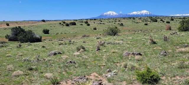 77 Rio Cucharas, Walsenburg, CO 81089