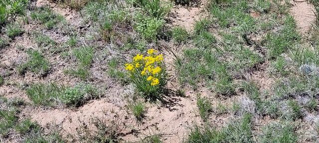 77 Rio Cucharas, Walsenburg, CO 81089