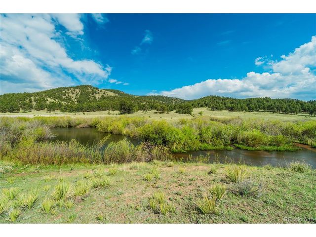 224 Lakeview Forest Hts, Florissant, CO 80816